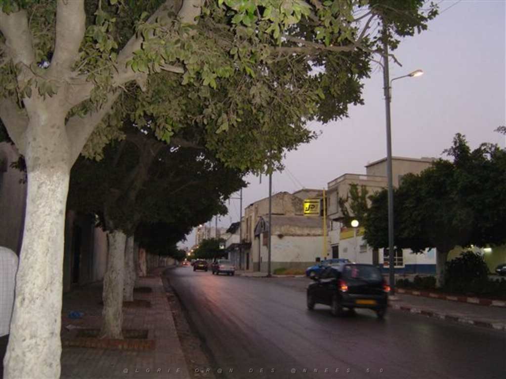 ORAN AOUT 2007 Ave de Tunis.JPG